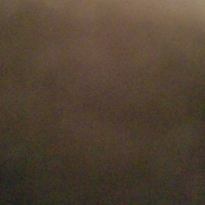 Meet your Posher, Neykitha